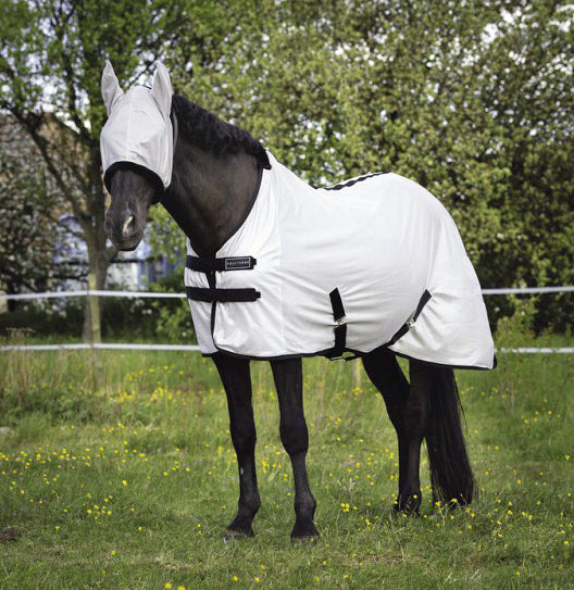 Equitheme Pro Mesh-Shirt