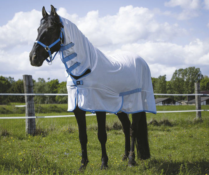 RIDING WORLD Combo Mesh Shirt