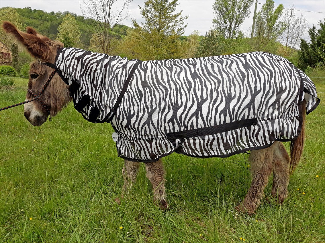 RIDING WORLD Combo Mesh Shirt