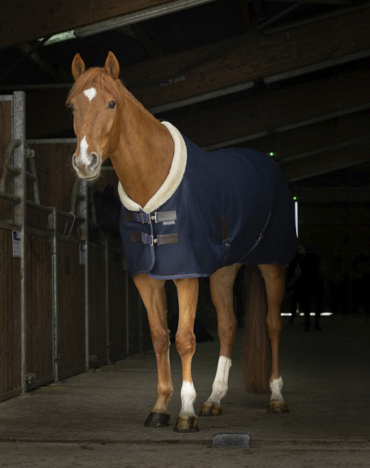 Equitheme Teddy Mesh Shirt