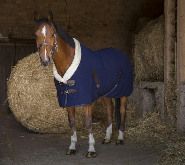 Equitheme Teddy fleece shirt