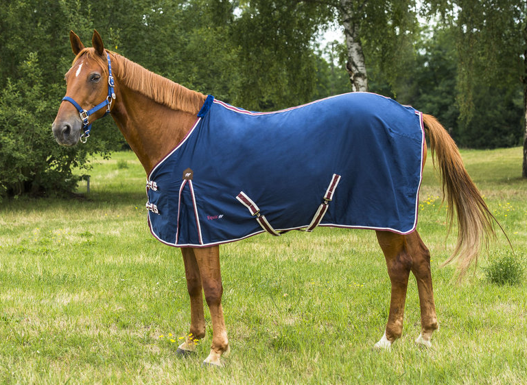 Chemise polycoton EQUIT’M Soft