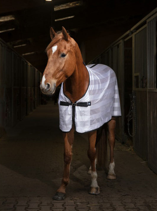 RIDING WORLD Mesh Shirt