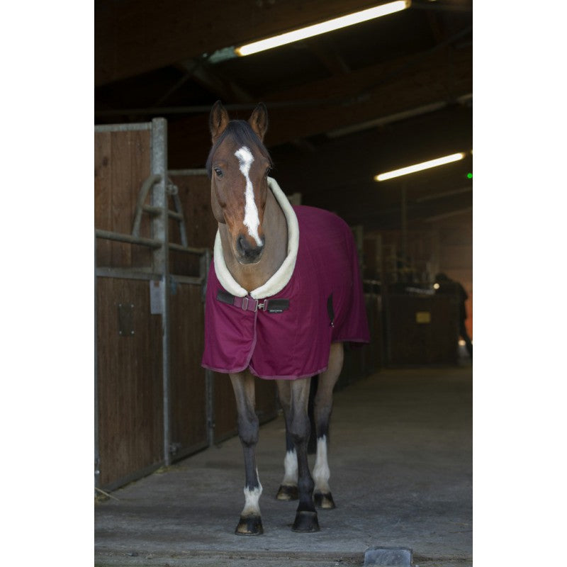Chemise séchante Equitheme Teddy