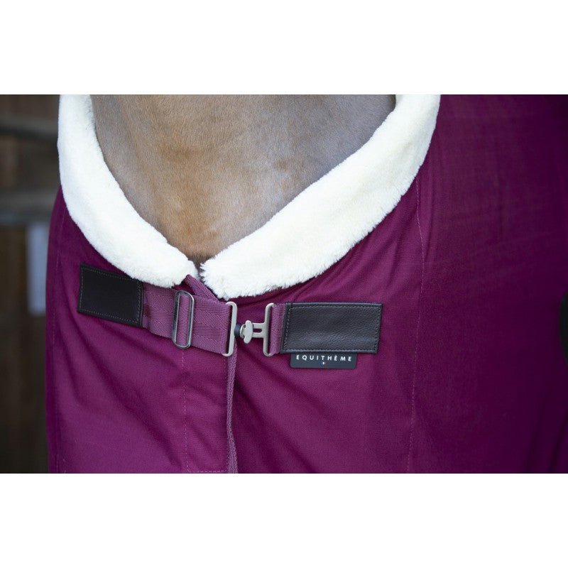 Chemise séchante Equitheme Teddy