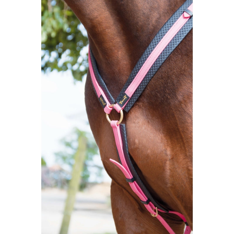 Biotack® TdeT Jagdhalsband