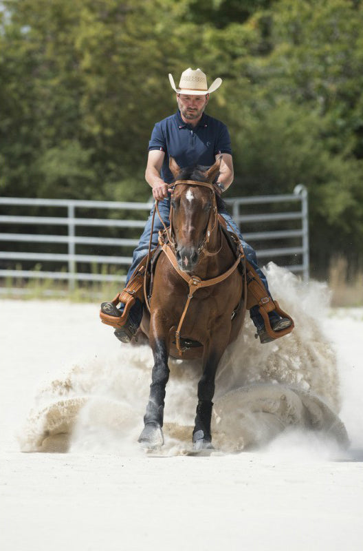 WESTRIDE von Franck Perret Aurora Jagdhalsband