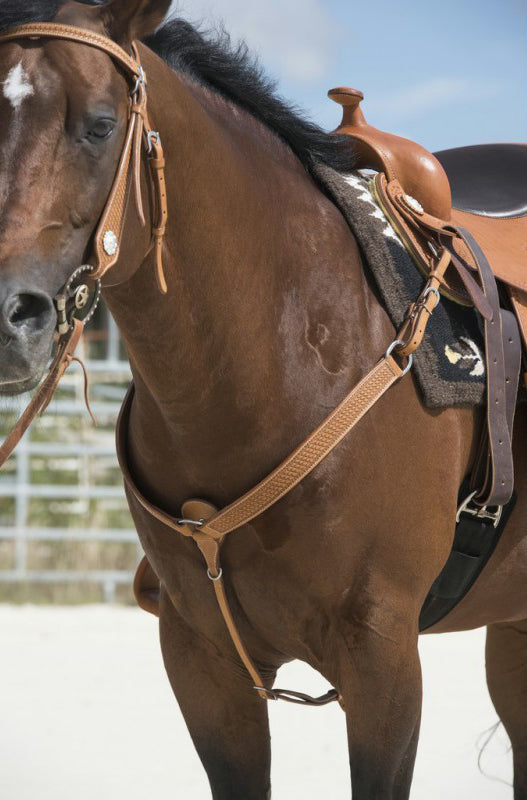 WESTRIDE von Franck Perret Aurora Jagdhalsband