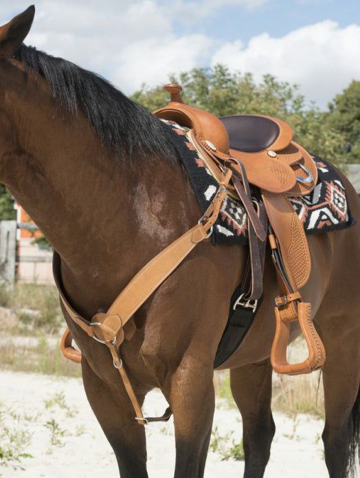 WESTRIDE Jagdhalsband von Franck Perret Billy