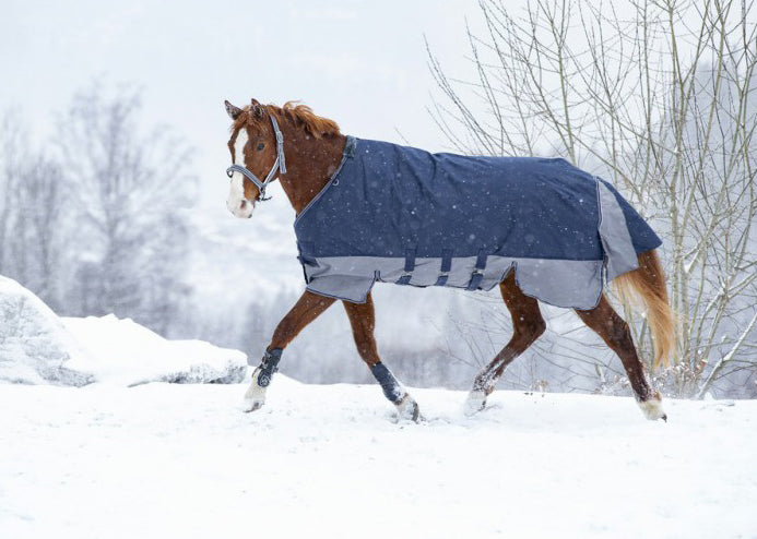 Couverture Equitheme TYREX 600 D Belly belt