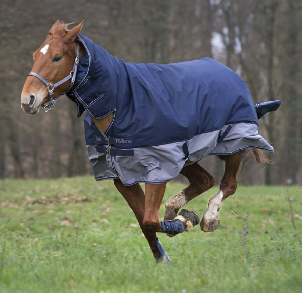 Couverture Equitheme TYREX 600 D Combo