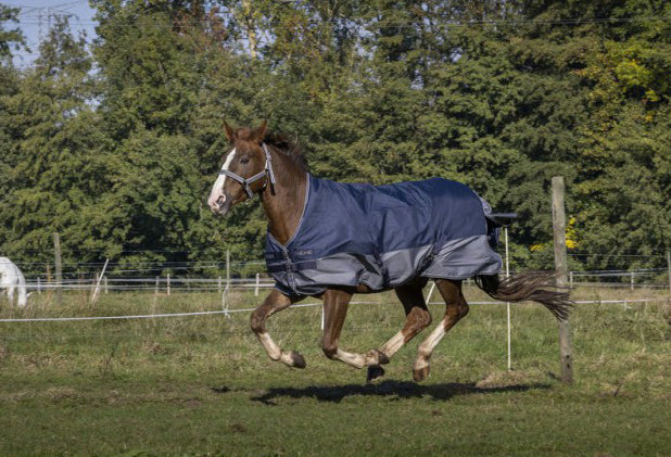 Couverture Equitheme TYREX 600 D High Neck