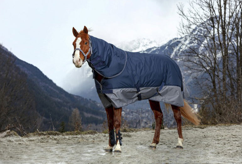Couvre-cou Equitheme TYREX 600 D