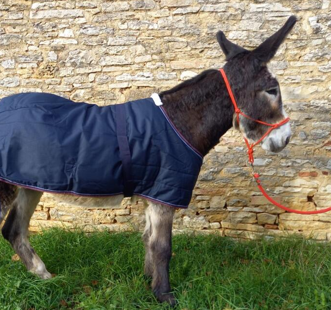 Equitheme Tyrex 1200 D Esel- oder Fohlendecke