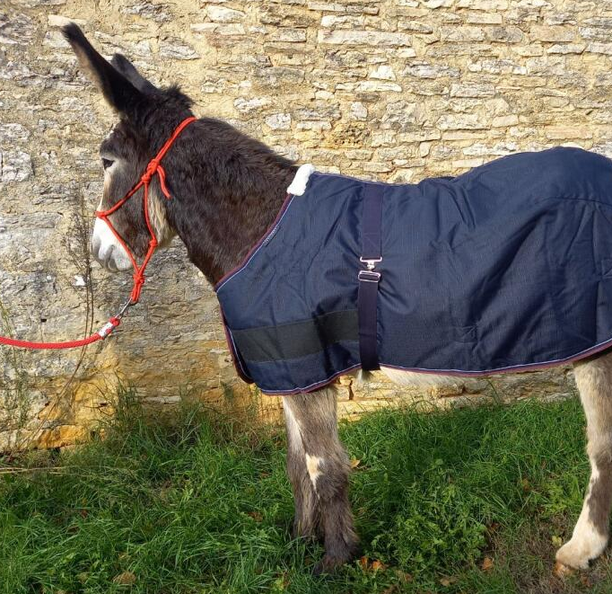 Couverture Equitheme Tyrex 1200 D âne ou poulain