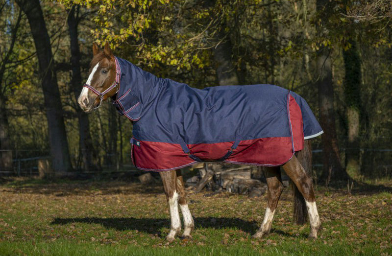 Equitheme TYREX 1200 D Combo Decke 350g