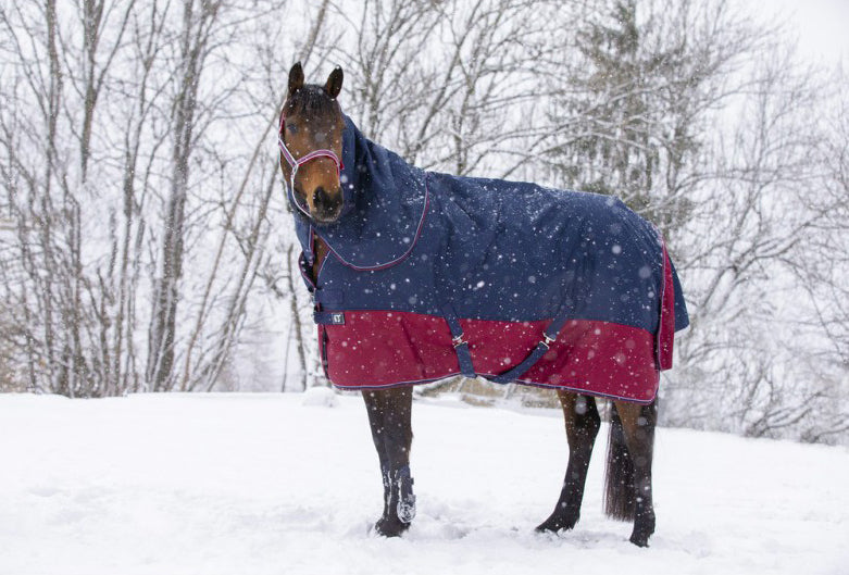 Couvre-cou Equitheme TYREX 1200 D