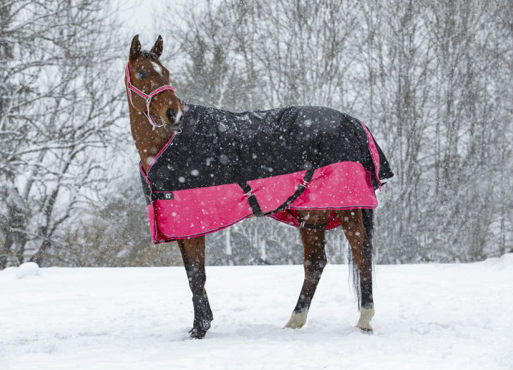 Couverture Equitheme TYREX 1200 D Grande taille