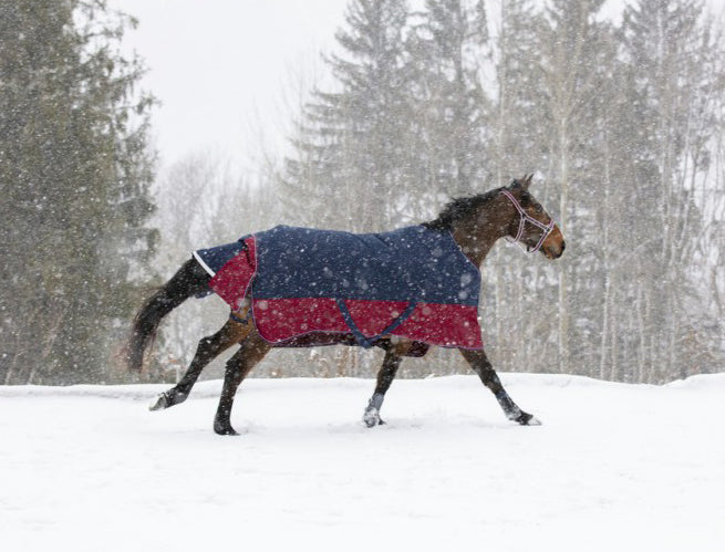 Equitheme TYREX 1200 D cover