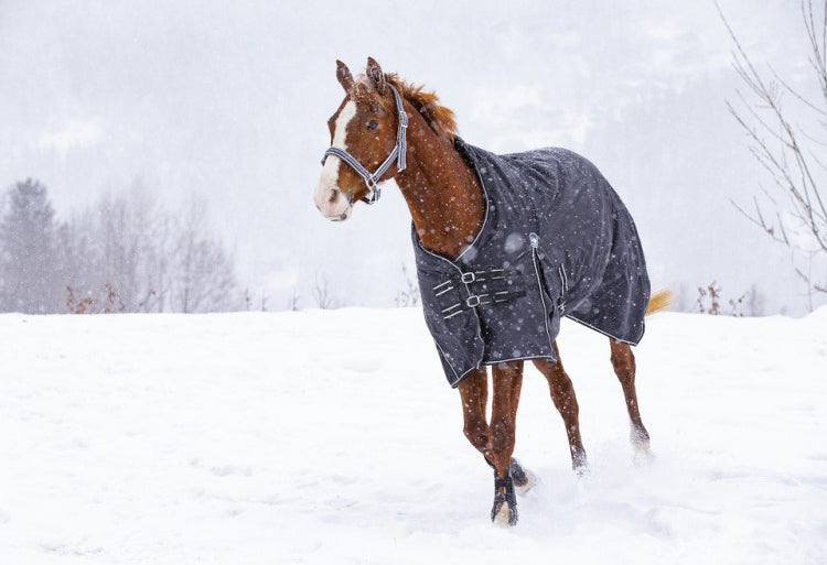 Couverture Riding World Oxford imperméable