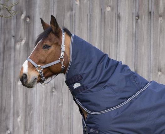 Couvre-cou Equitheme TYREX 600 D