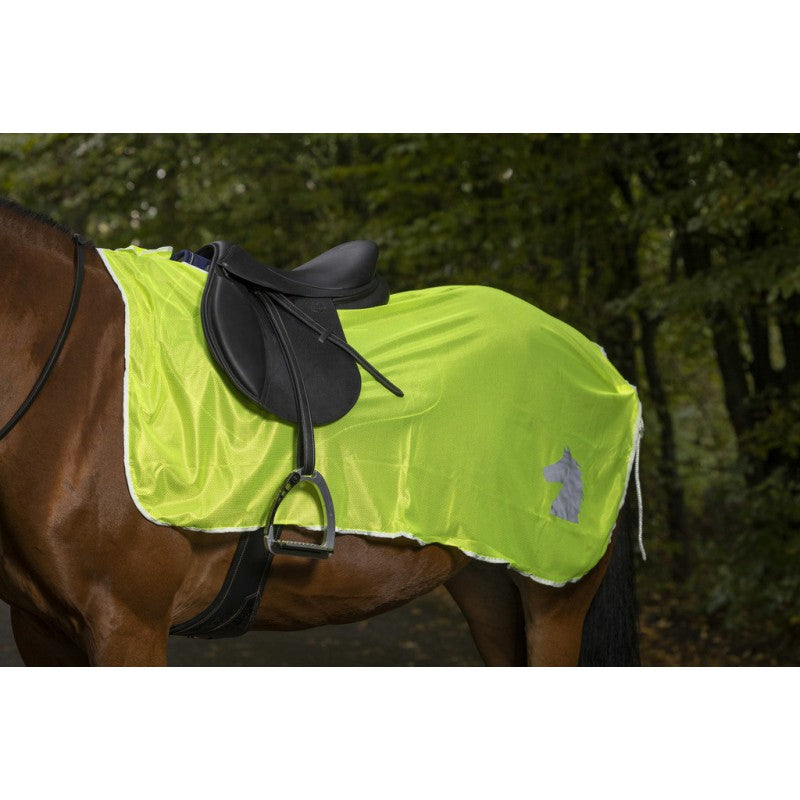 Norton Safety Nierenschutz