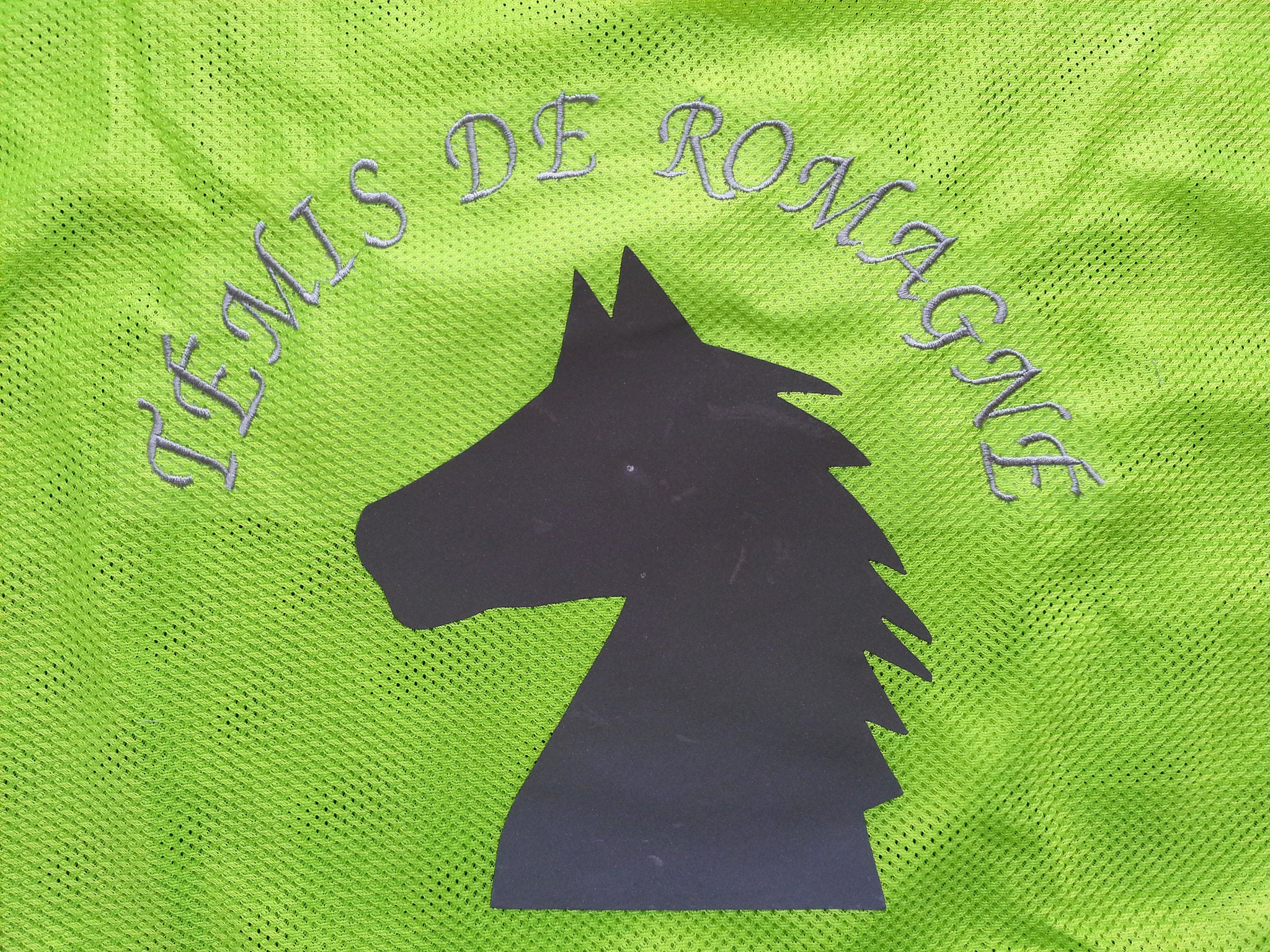 Norton Safety Nierenschutz