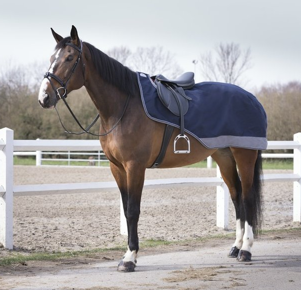 Equitheme TYREX 600 D Nierendecke