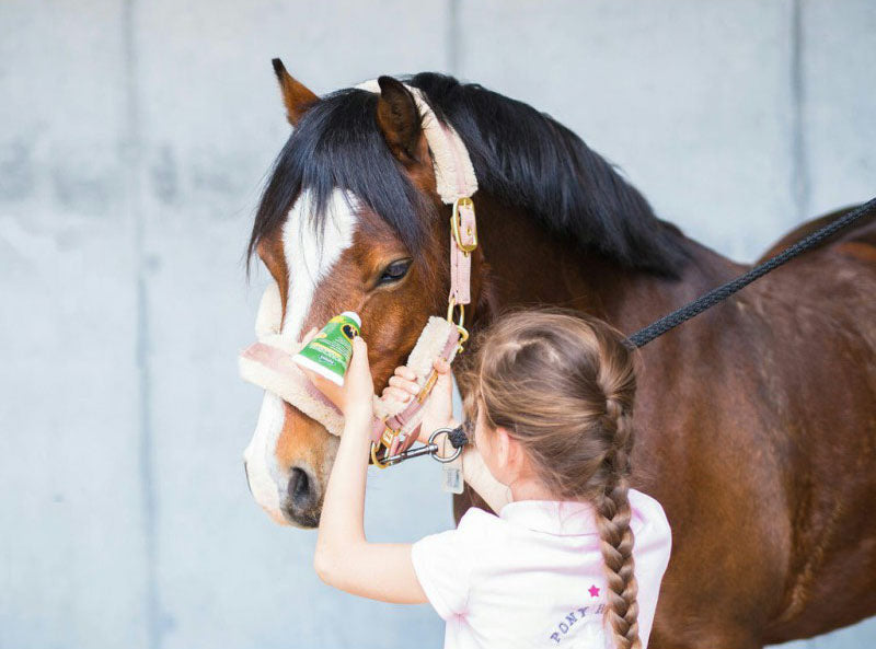 Emouchine Protec Gel Ravene Schaumstoffspitze