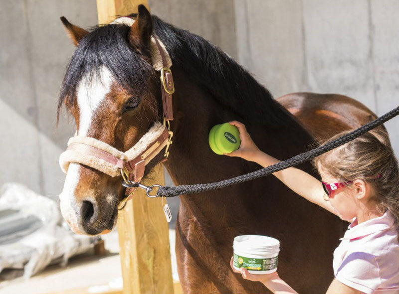 Emouchine Protec Gel Ravene Topf und Schwamm