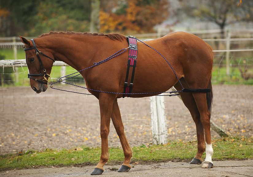 NORTON Flaschenzugzügel