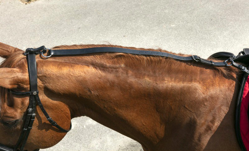 NORTON Anti-Kipp-Zügel