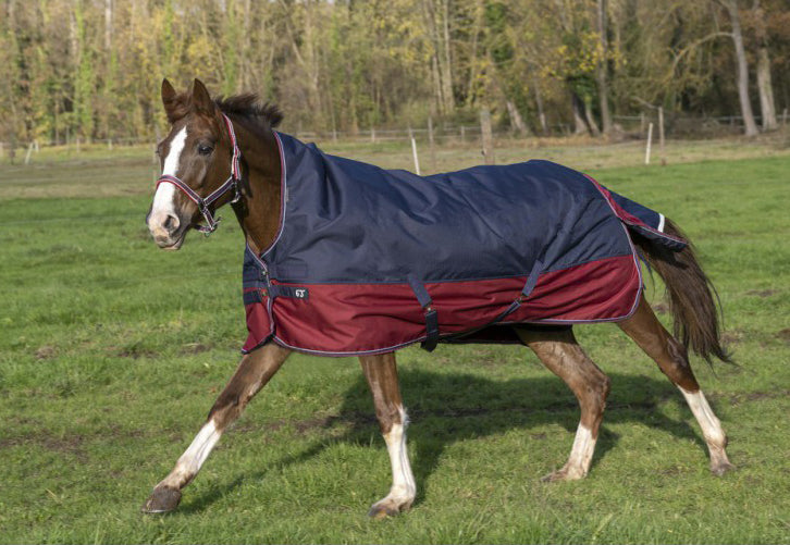Couverture Equitheme TYREX 1200 D High Neck