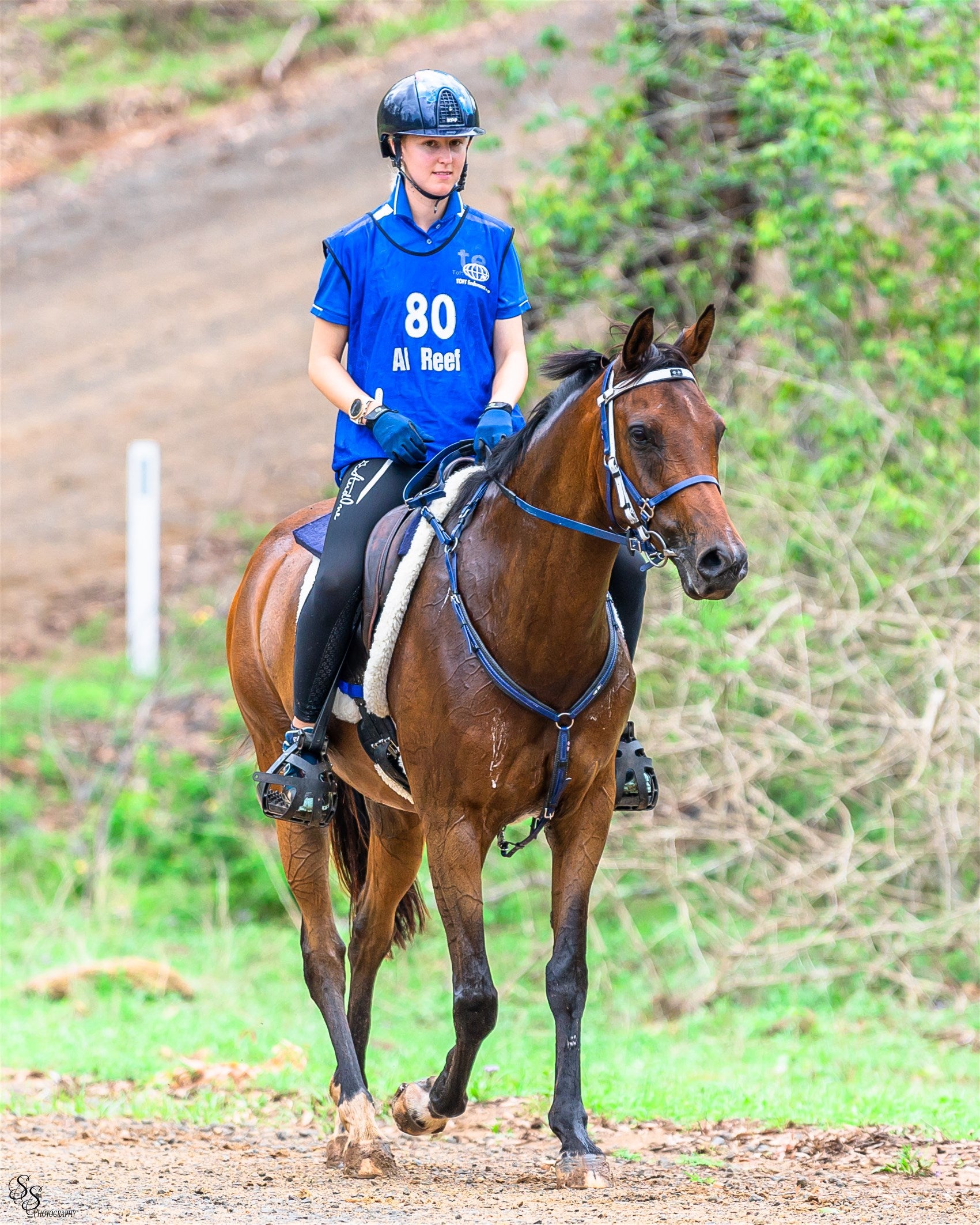 Zilco Deluxe Endurance Jagdhalsband