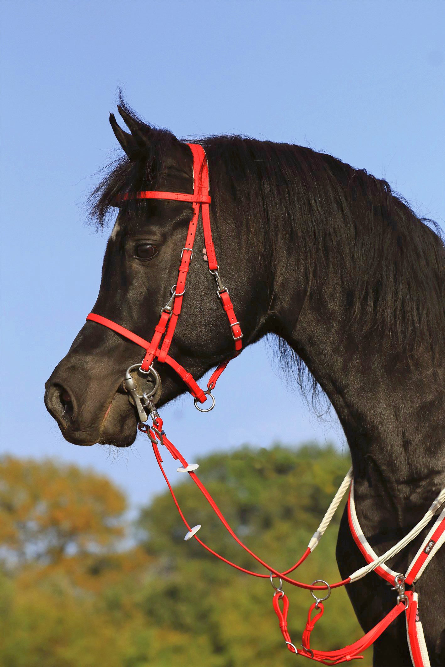 Zilco Ultra Endurance Trensenhalfter