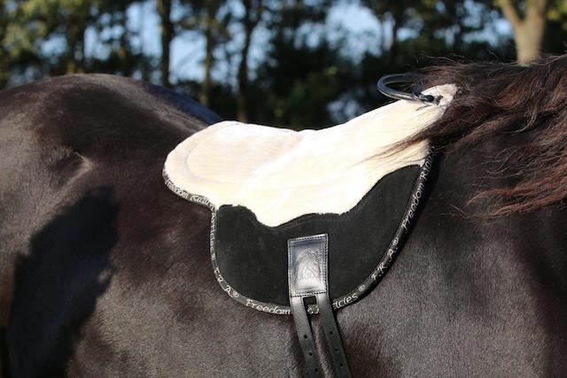 Kostenlose Bareback-Reitmatte