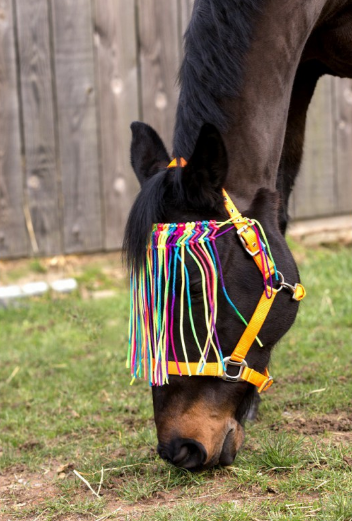 Regenbogen-Fliegenklatsche-Stirnband