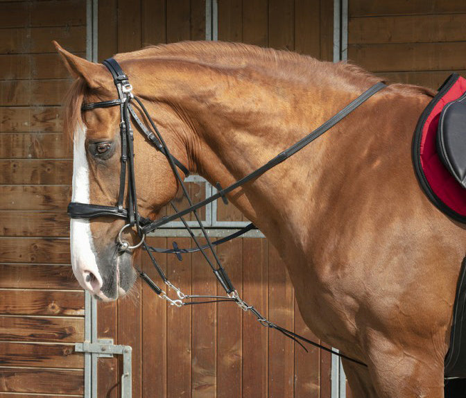 NORTON PRO Riemenscheibe Gogue