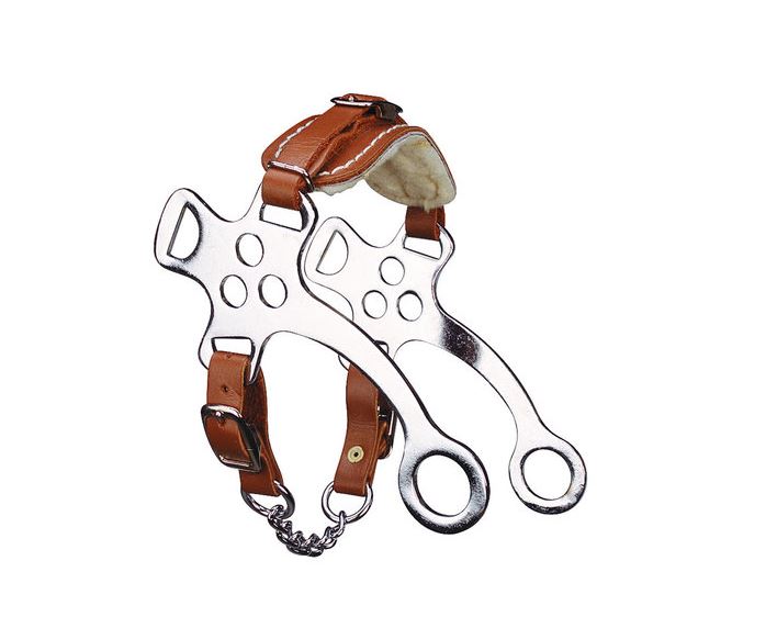 Hackamore Feeling Chromstahl