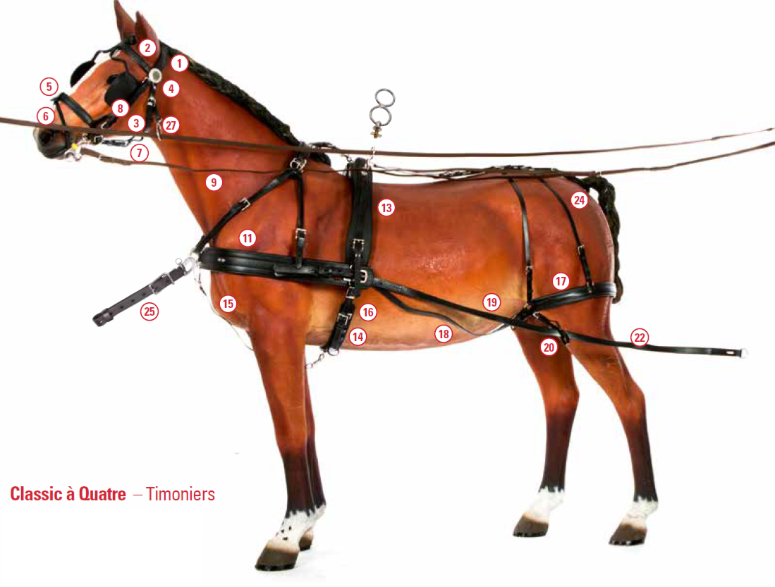 Pièces détachées Harnais Classic à Quatre Zilco Cob