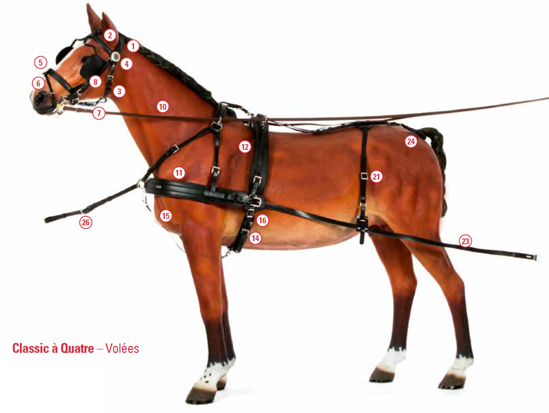Harnais Classic à Quatre Zilco Cheval complet