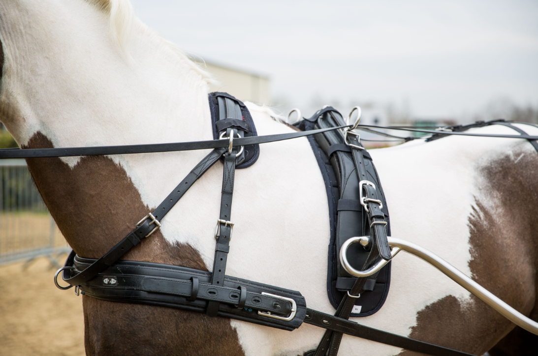 Harnais Classic à Un Dossière coulissante Zilco Cob complet/pièces