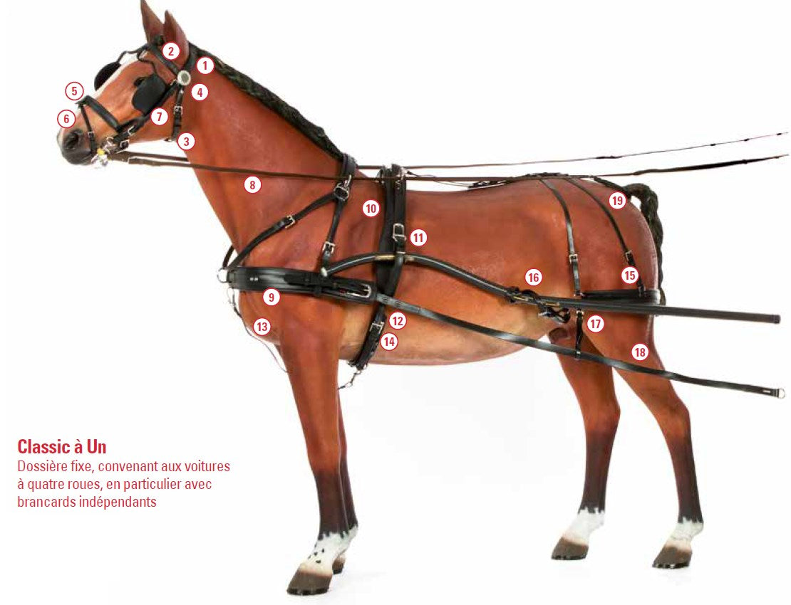 Harnais Classic à Un Zilco Cob complet/pièces