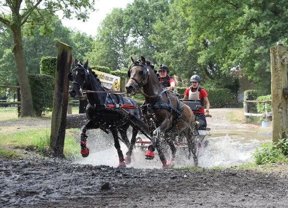 Harnais Classic en Paire Zilco Cob complet/pièces