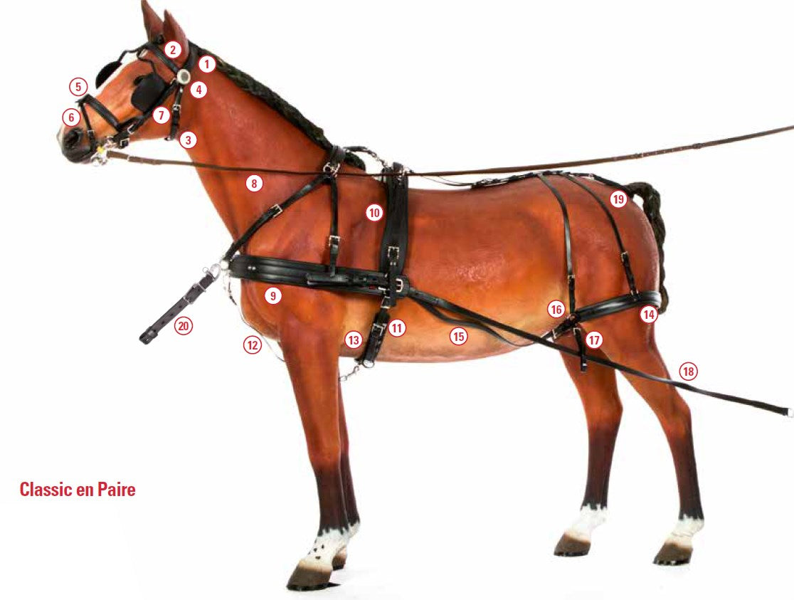 Harnais Classic en Paire Zilco Poney complet/pièces