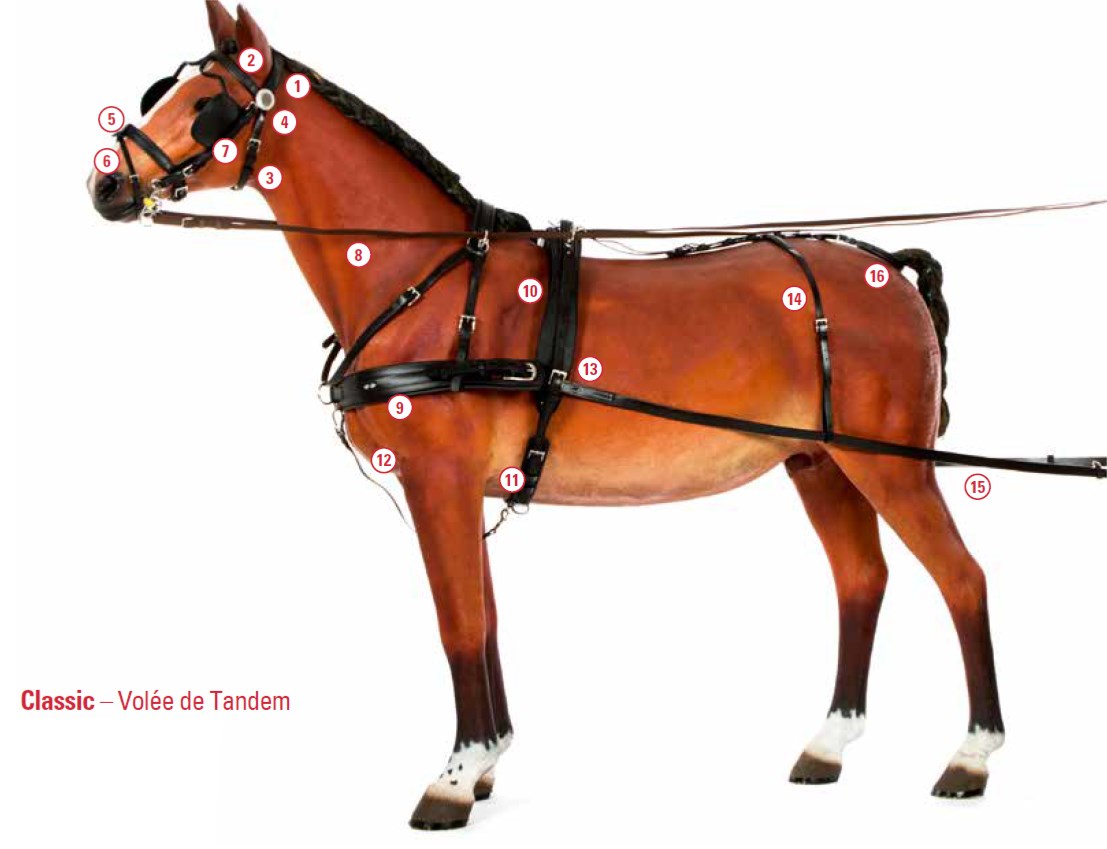 Harnais Classic Volée de Tandem Zilco Poney complet/pièces