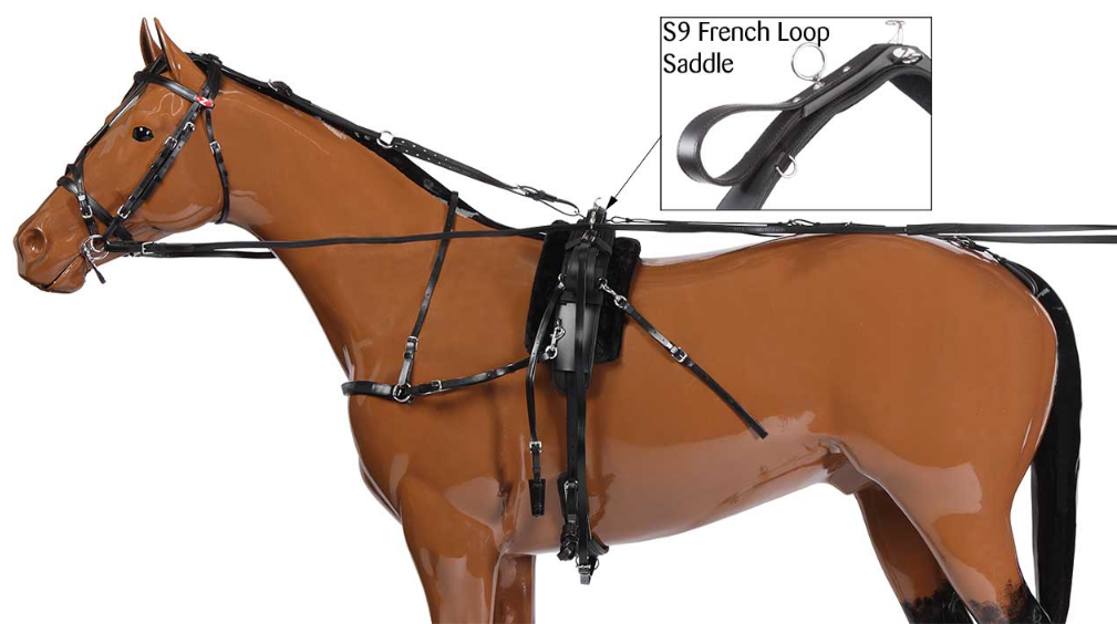 Harnais complet Trotteur French Loop H309 Zilco