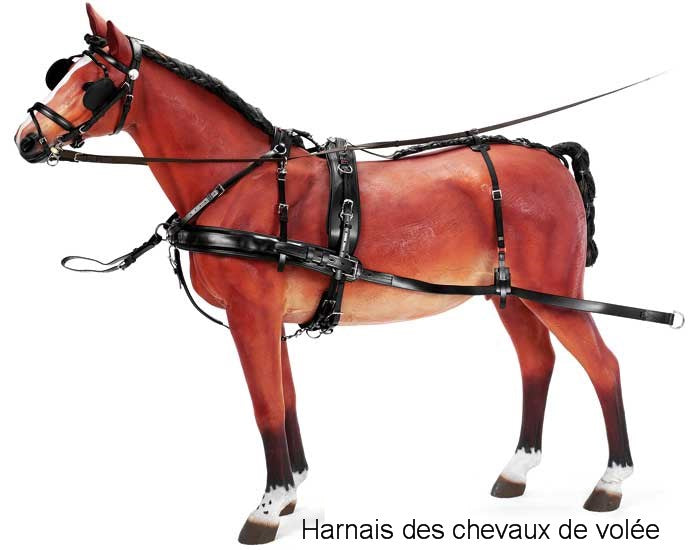 Harnais Elite en team Zilco