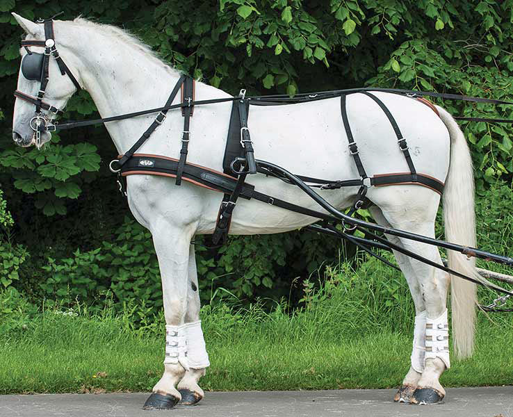 rênes endurance zilco biothane r grip atelier du cheval rênes endurance zilco biothane r grip atelier du cheval