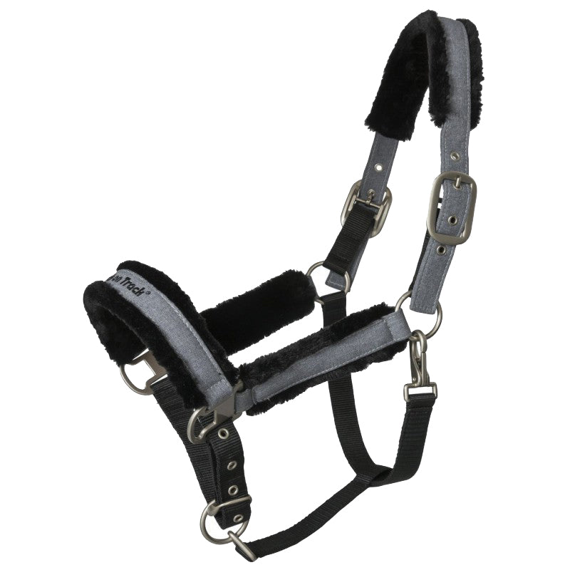 Halter Back on Track Haze Collection